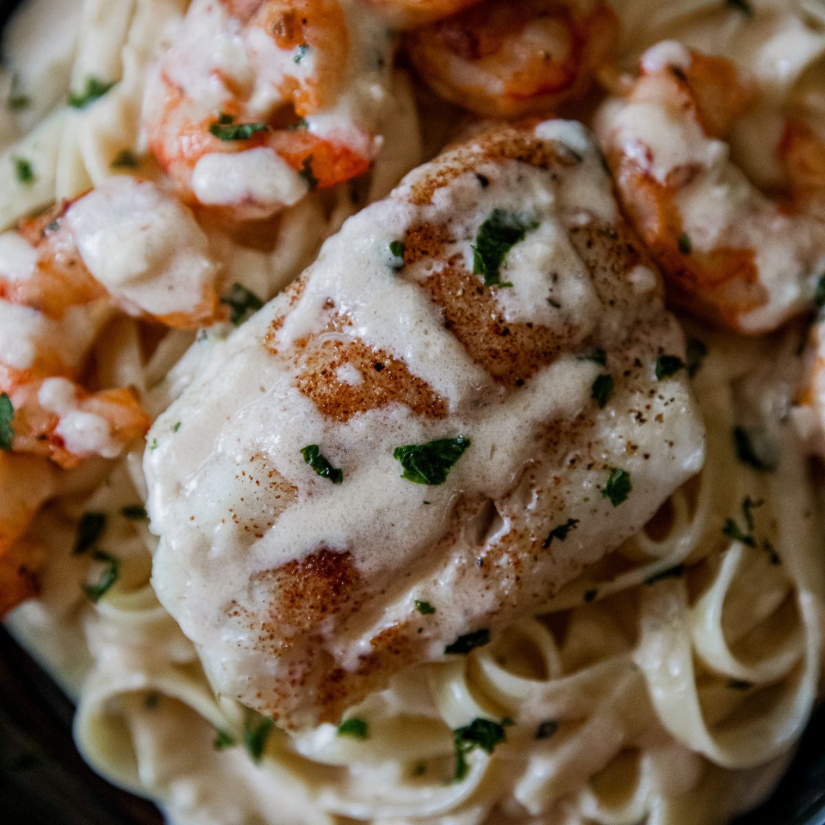 Surf and Surf Alfredo