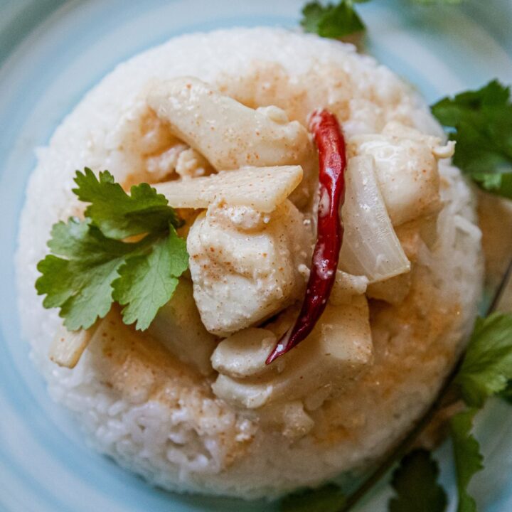 Traeger Thai Halibut Curry