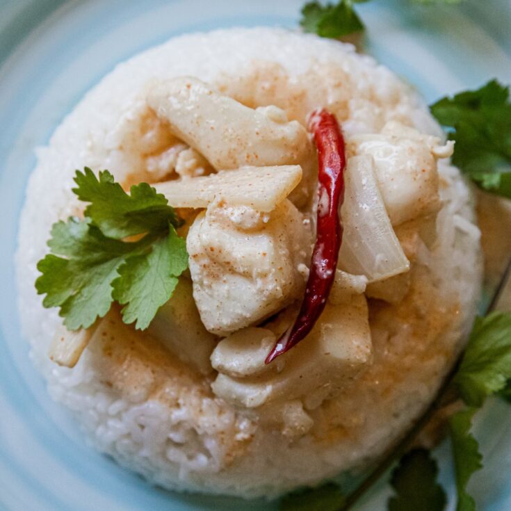 Traeger Thai Halibut Curry