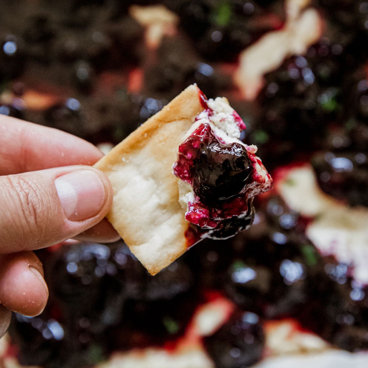 Blueberry Balsamic Smoked Goat Cheese