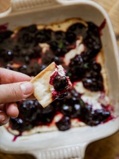 Blueberry Balsamic Smoked Goat Cheese