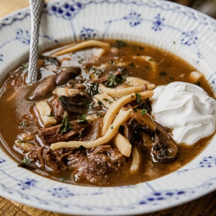 Beef Stroganoff Soup