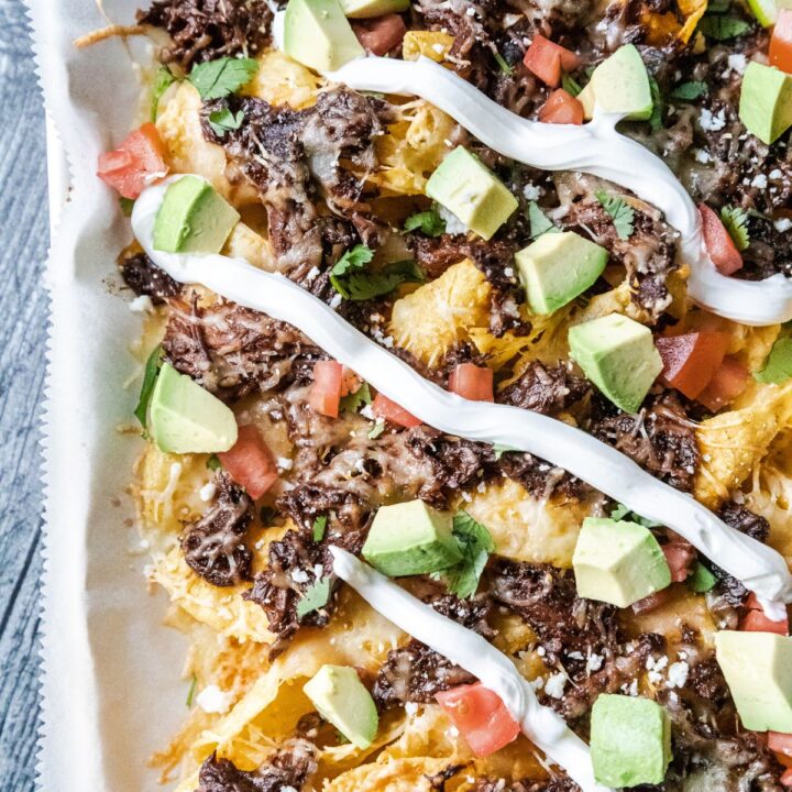 Birria Nachos