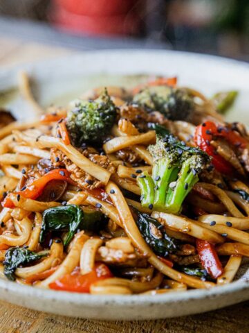 Chinese Style Udon with Pork Tenderloin