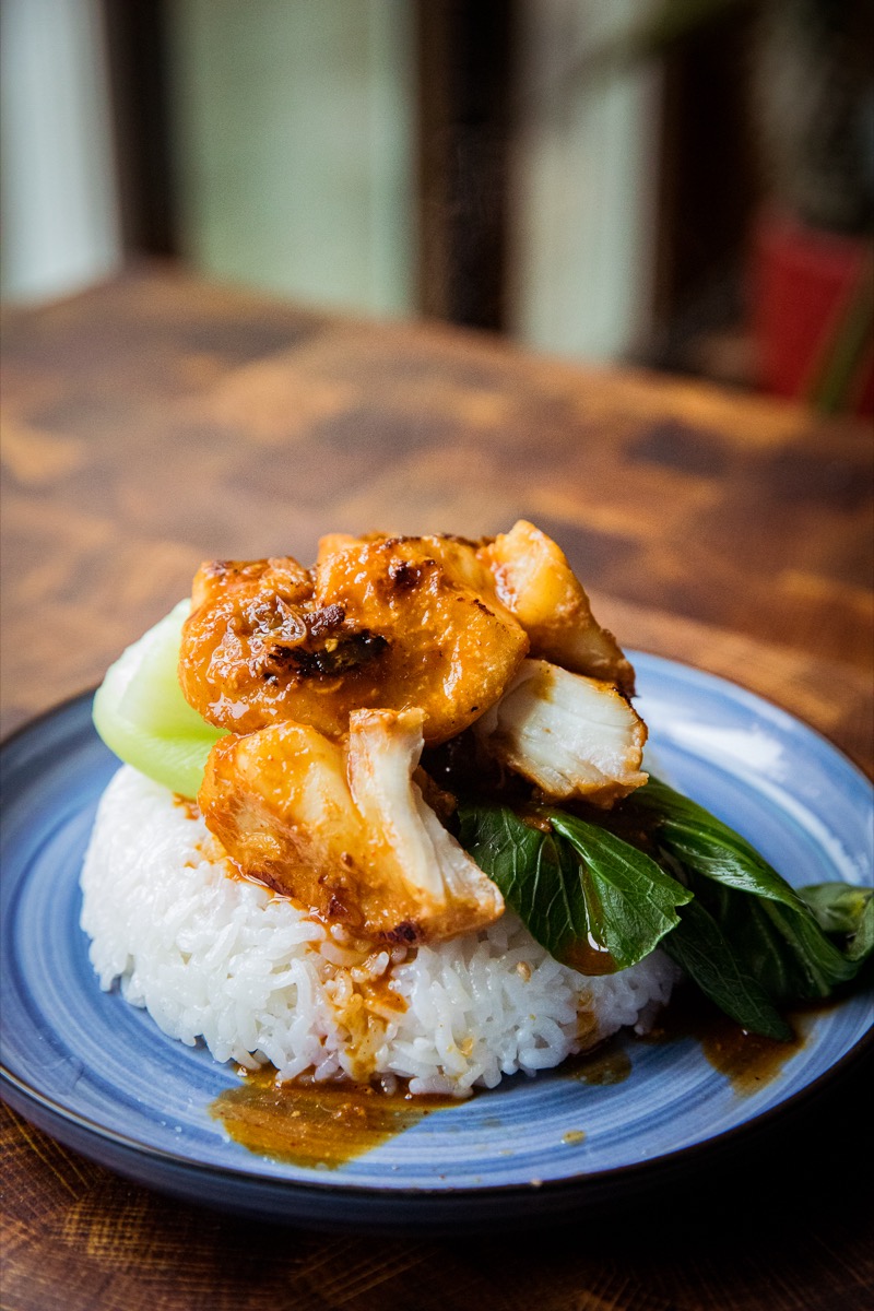 A blue plate with rice, bok choy, and sous vide fish on top.