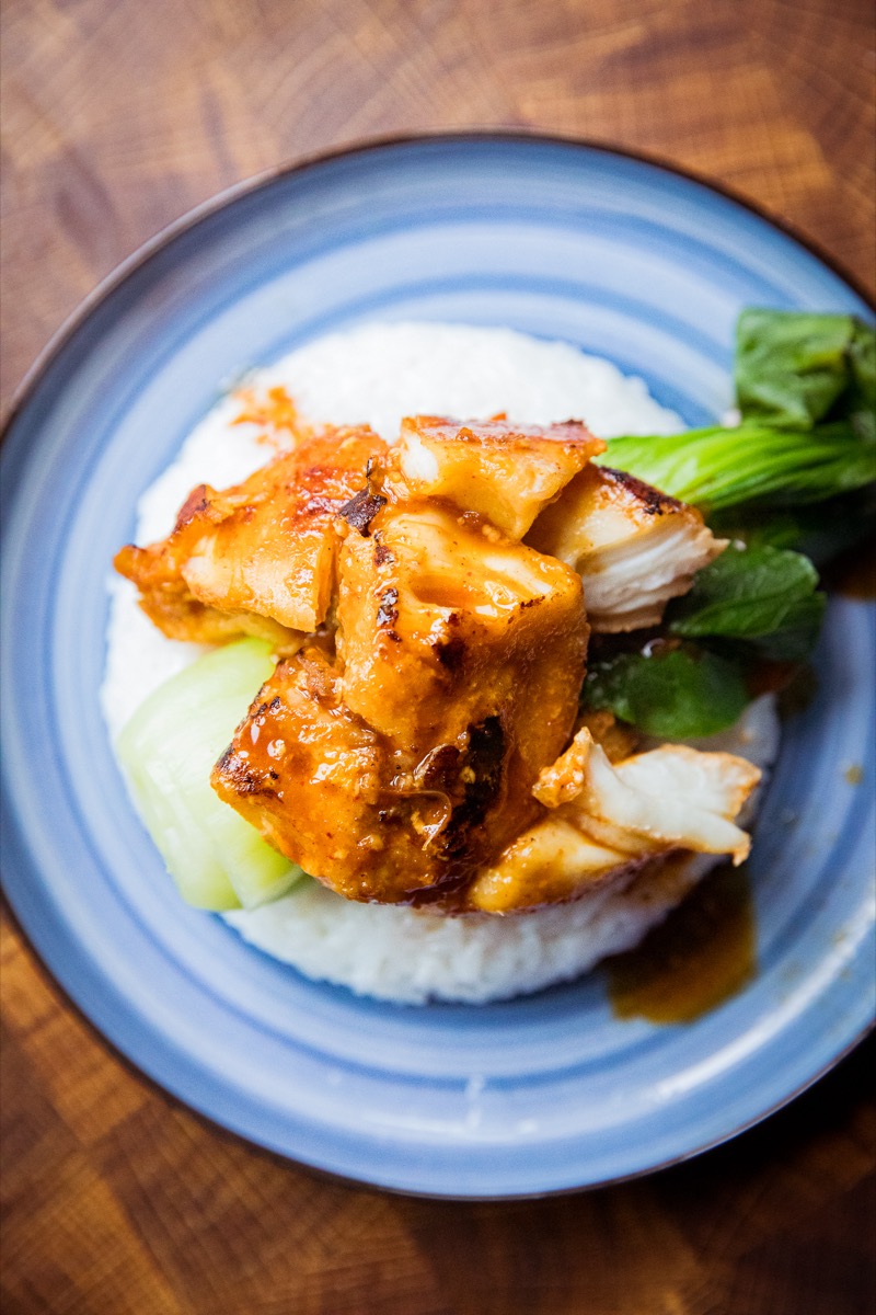 Lingcod cheeks on a bed of rice on a blue plate.
