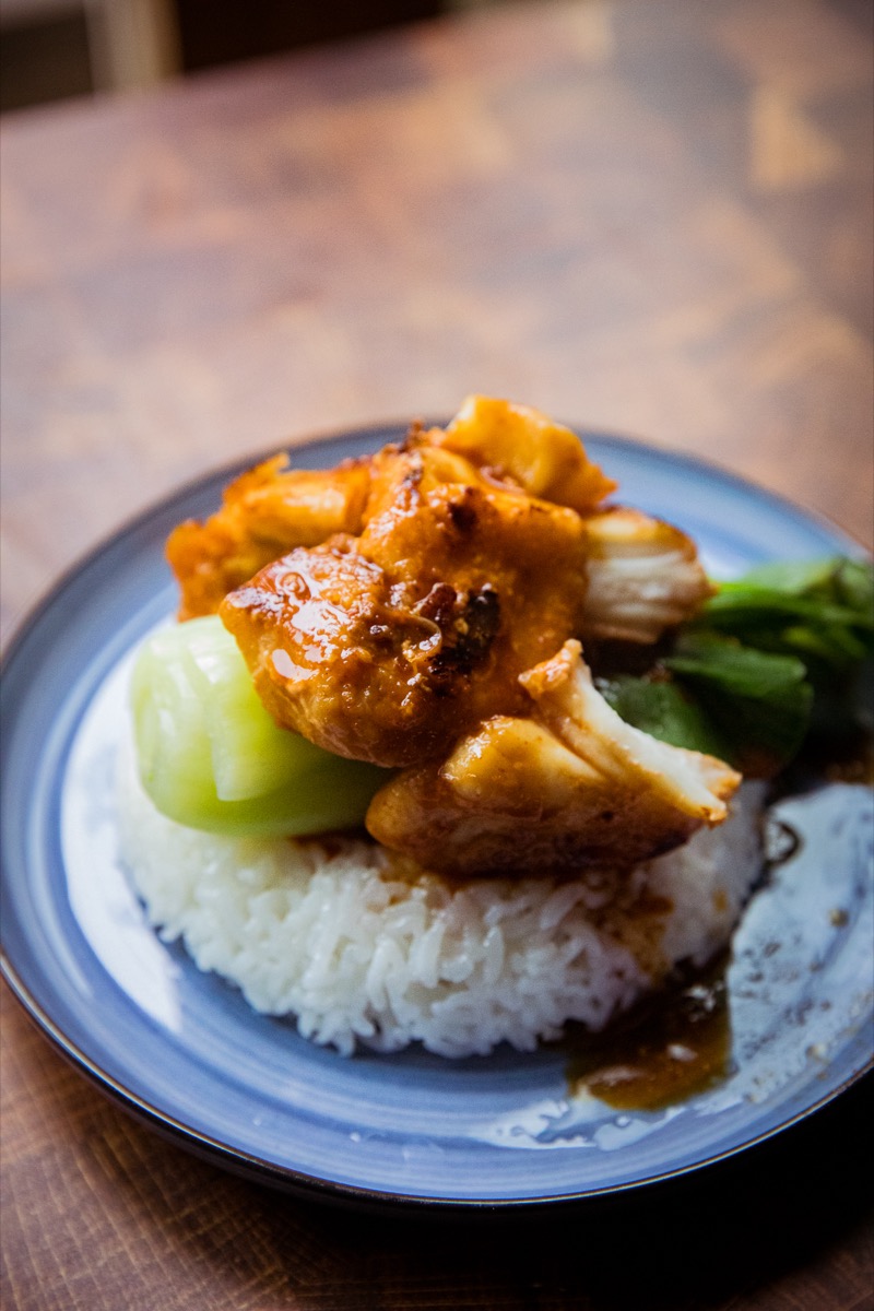 Lingcod cheeks on a blue plate with rice and bok choy.