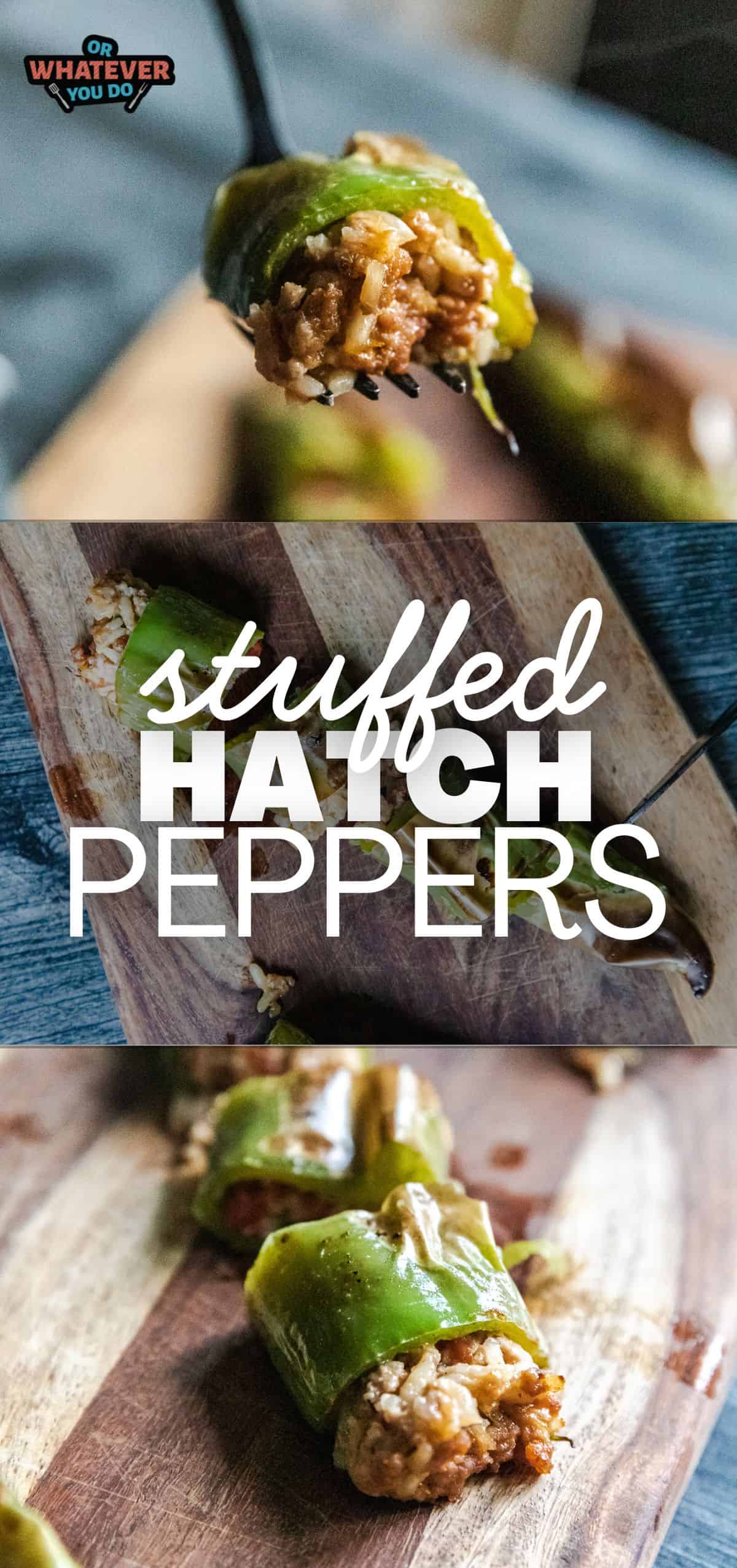 Delicious stuffed hatch chili peppers filled with seasoned meat and cheese, perfect for spicy appeti.