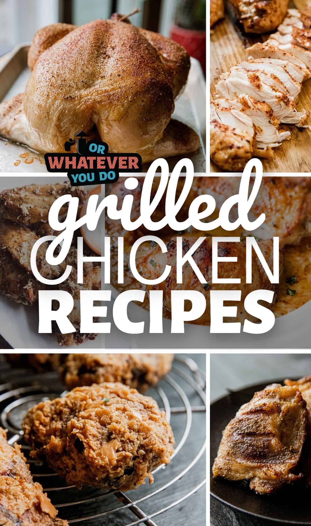 Delicious grilled chicken recipes for every occasion, easy to prepare and full of flavor.