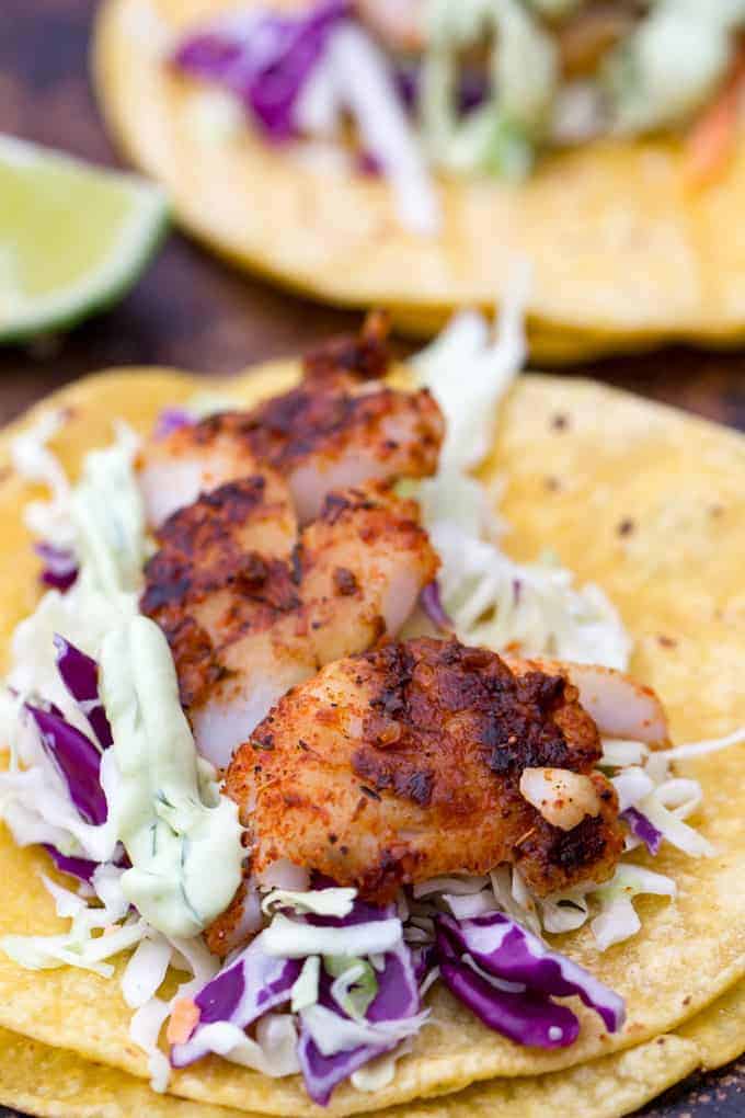 Shrimp tacos with cabbage slaw and creamy sauce on corn tortillas.