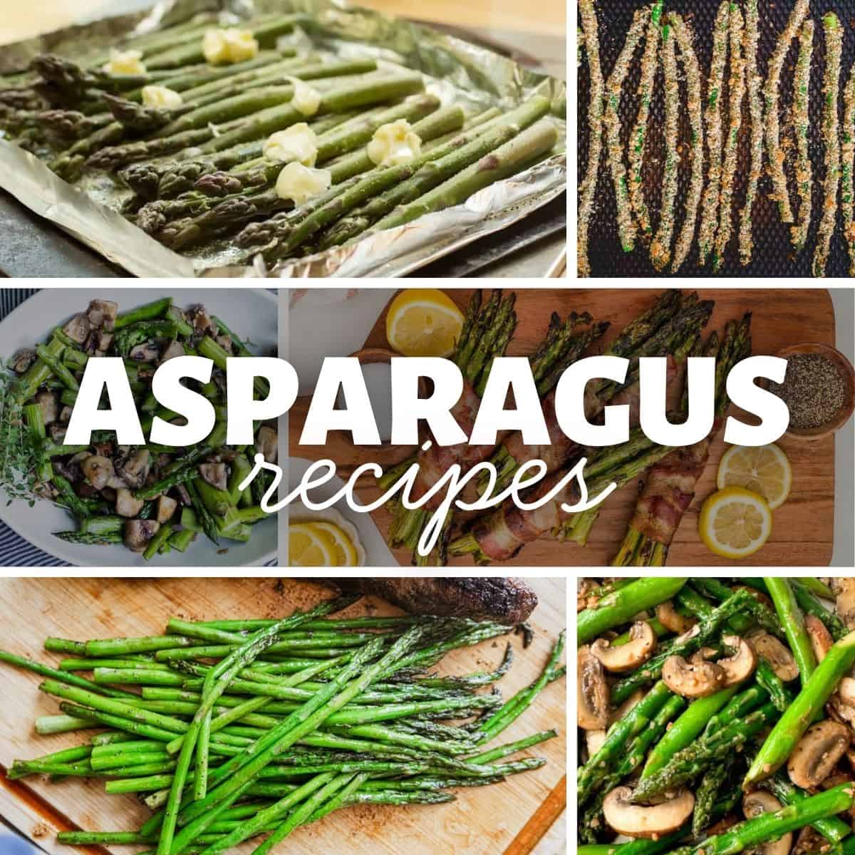 Collection of asparagus dishes and fresh asparagus spears for recipes.