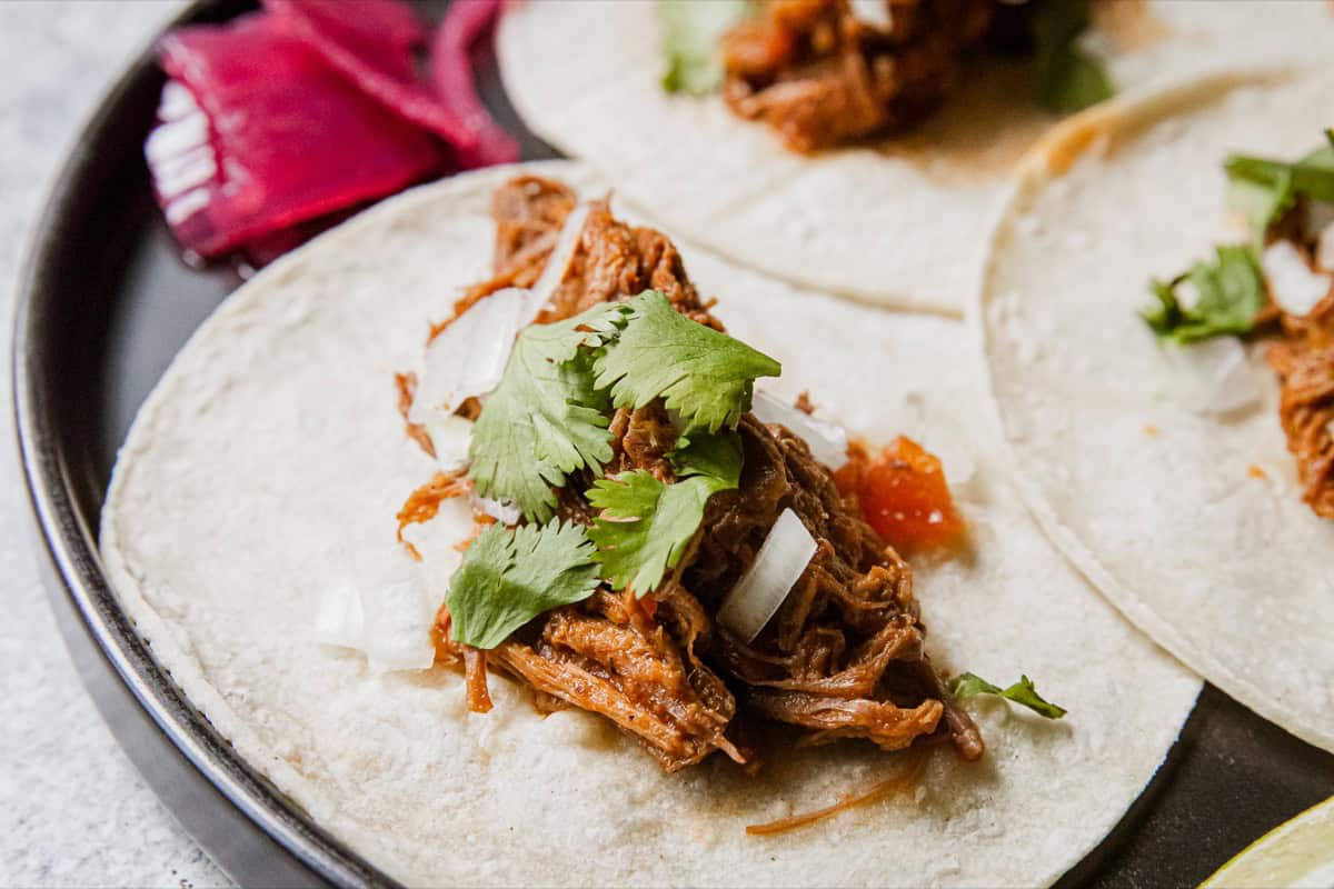 Delicious venison barbacoa tacos with cilantro and onions on a plate.