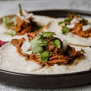 Delicious venison barbacoa tacos with cilantro and onions on soft tortillas.
