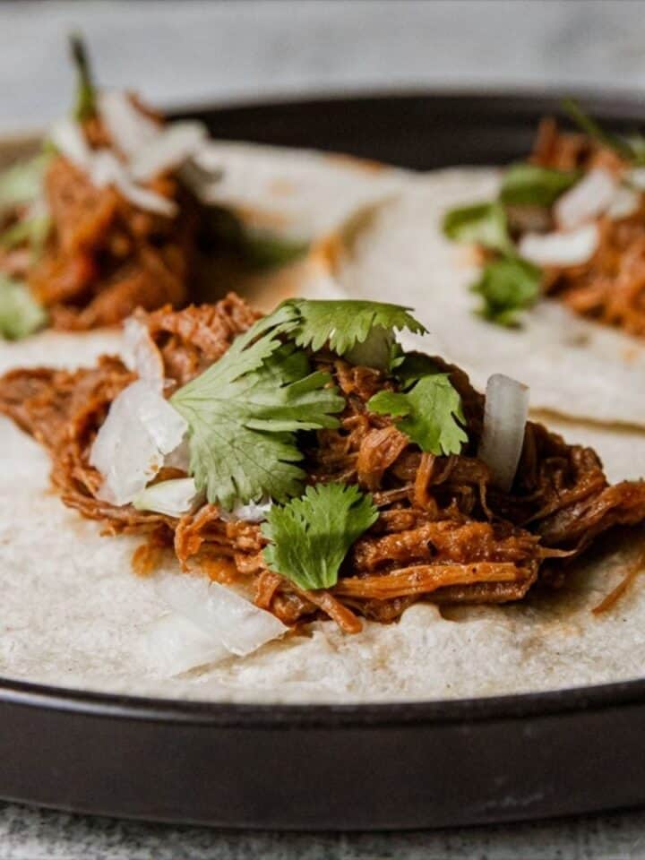 Delicious venison barbacoa tacos with cilantro and onions on soft tortillas.