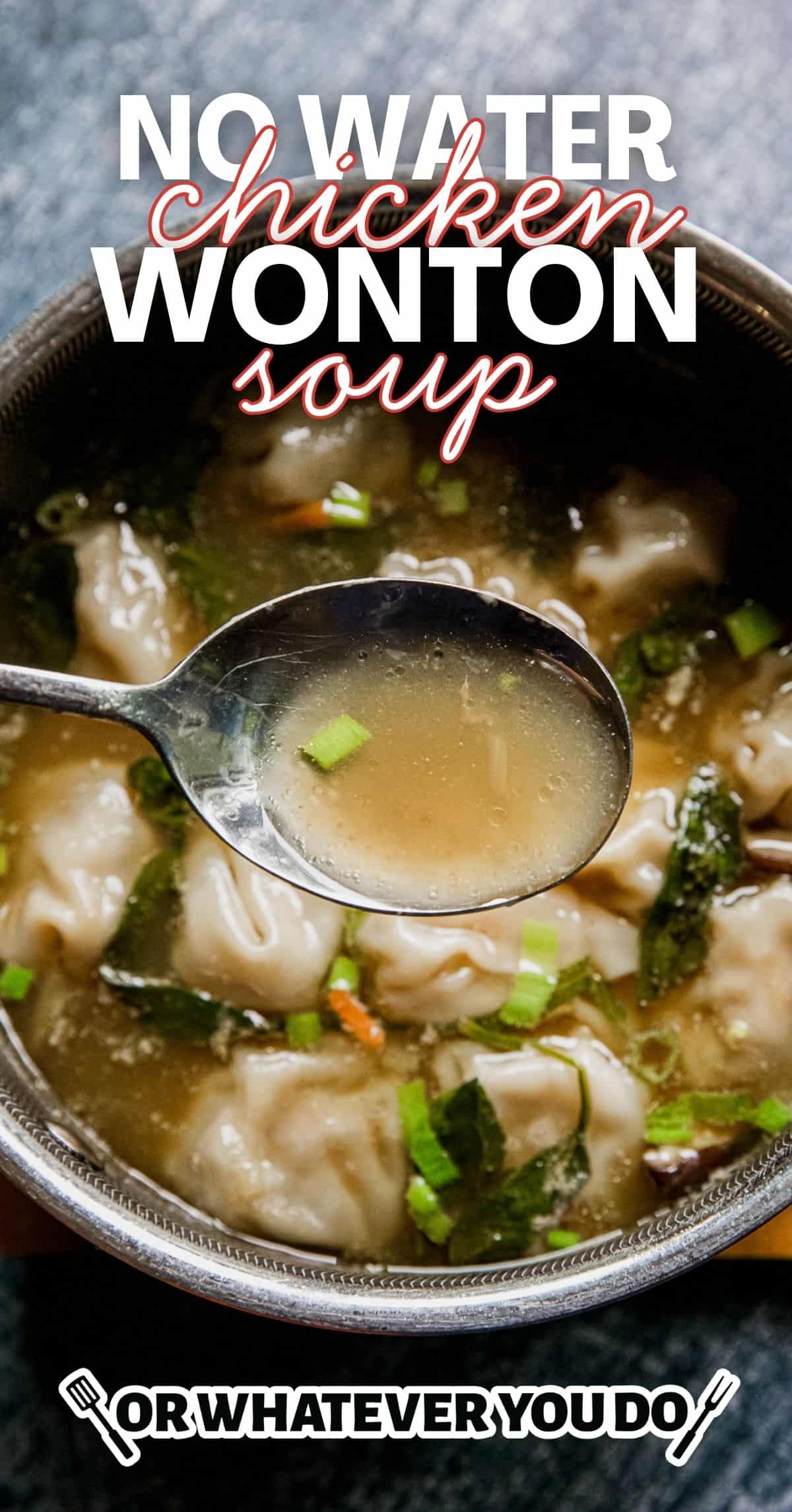Close-up of chicken wonton soup with green onions in a bowl.