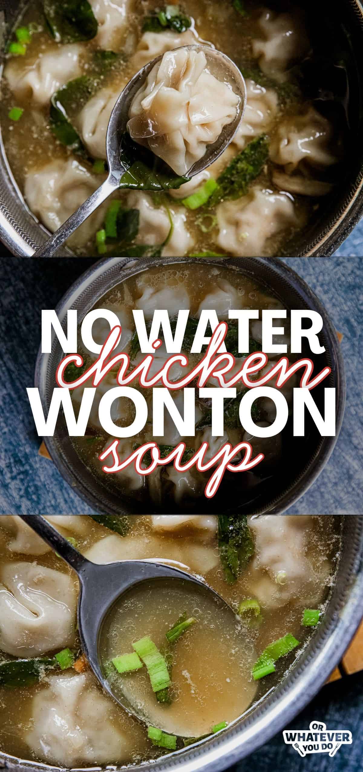 Close-up of chicken wonton soup with green onions in a bowl.